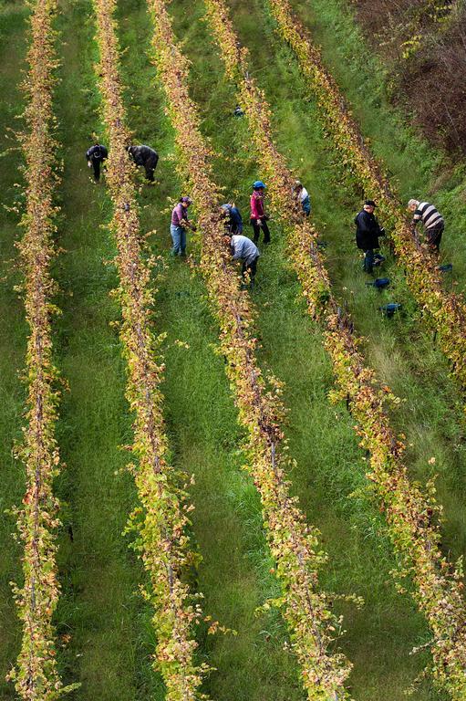 Wine Resort Villagrande Milo Dış mekan fotoğraf