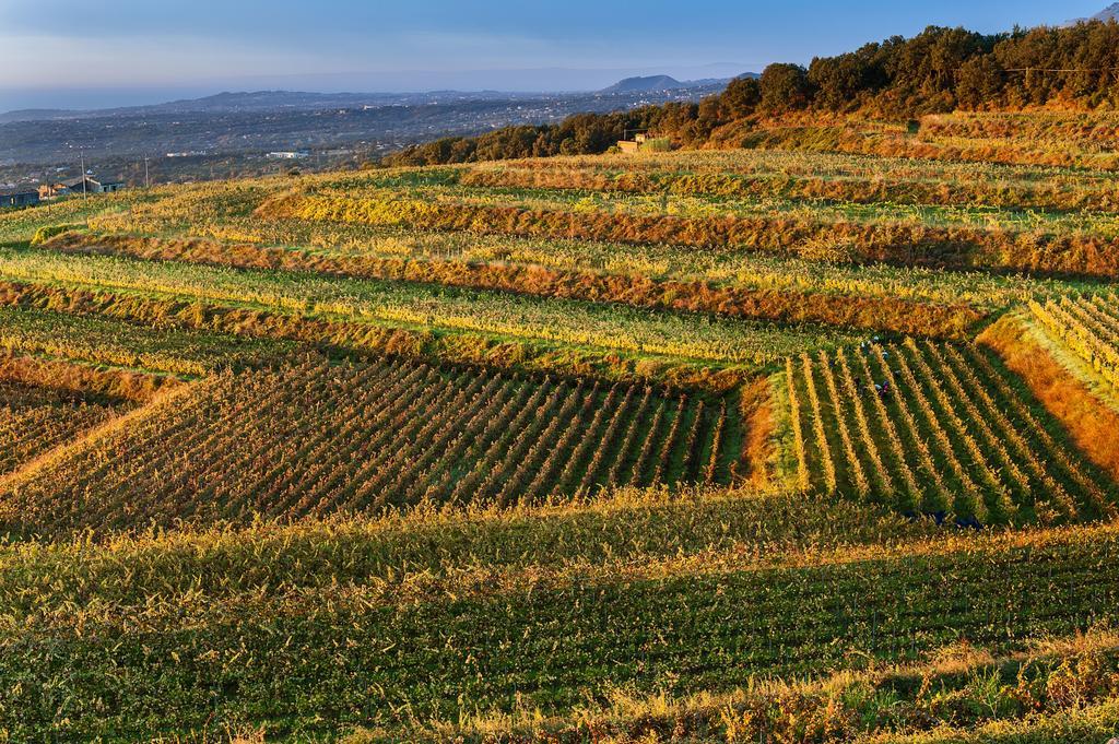 Wine Resort Villagrande Milo Dış mekan fotoğraf