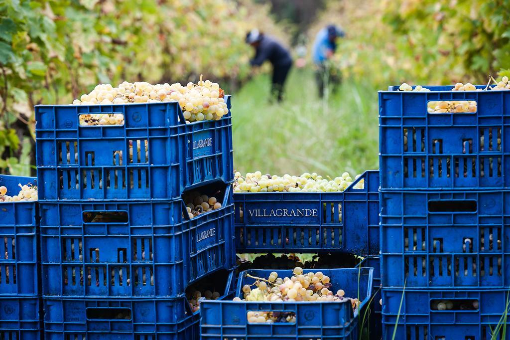 Wine Resort Villagrande Milo Dış mekan fotoğraf