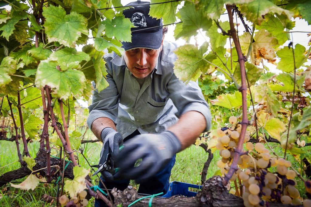 Wine Resort Villagrande Milo Dış mekan fotoğraf