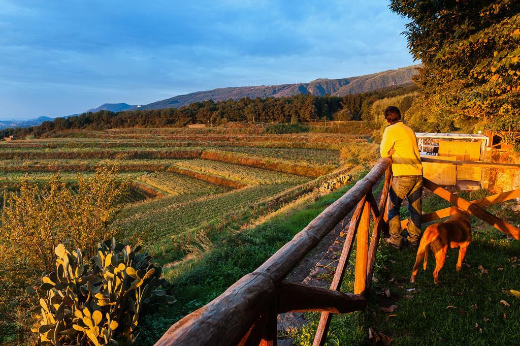 Wine Resort Villagrande Milo Dış mekan fotoğraf